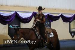 18YN_20837 thumbnail