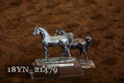 18YN_21479 thumbnail