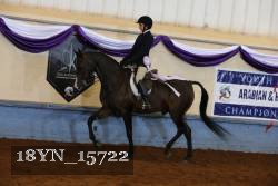 18YN_15722 thumbnail