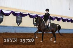 18YN_15728 thumbnail