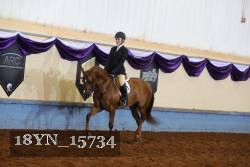 18YN_15734 thumbnail