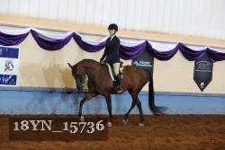 18YN_15736 thumbnail