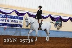 18YN_15738 thumbnail