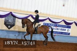 18YN_15741 thumbnail