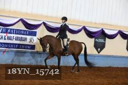 18YN_15742 thumbnail