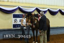 18YN_30445 thumbnail