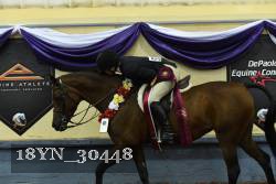 18YN_30448 thumbnail