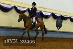 18YN_30455 thumbnail