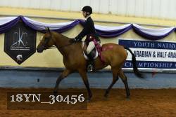 18YN_30456 thumbnail