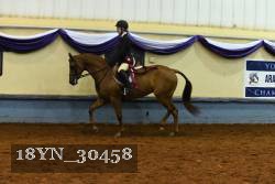 18YN_30458 thumbnail