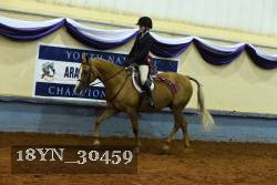 18YN_30459 thumbnail