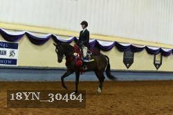 18YN_30464 thumbnail