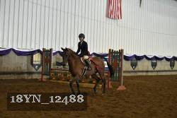 18YN_12488 thumbnail