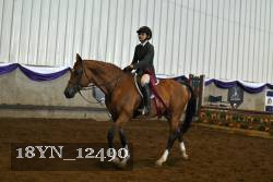 18YN_12490 thumbnail