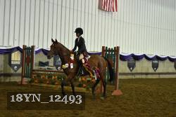 18YN_12493 thumbnail
