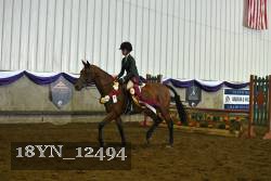 18YN_12494 thumbnail