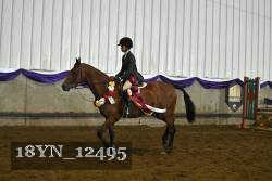 18YN_12495 thumbnail