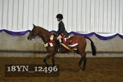 18YN_12496 thumbnail