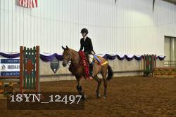 18YN_12497 thumbnail