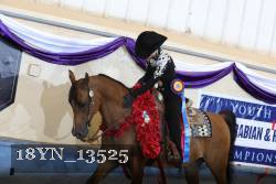 18YN_13525 thumbnail