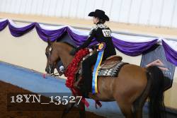 18YN_13527 thumbnail