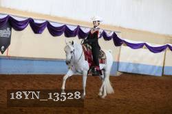 18YN_13528 thumbnail