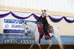 18YN_13531 thumbnail