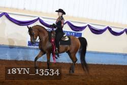 18YN_13534 thumbnail
