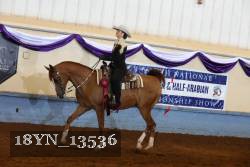 18YN_13536 thumbnail