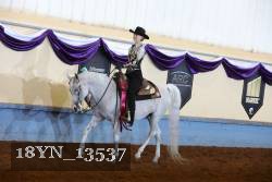 18YN_13537 thumbnail