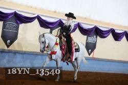 18YN_13540 thumbnail