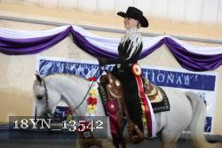 18YN_13542 thumbnail