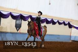 18YN_13543 thumbnail