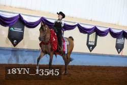18YN_13545 thumbnail