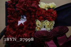 18YN_27998 thumbnail