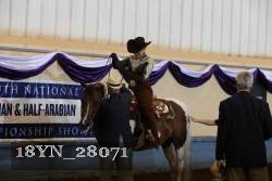 18YN_28071 thumbnail