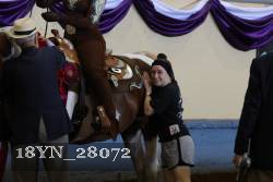 18YN_28072 thumbnail