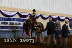 18YN_28073 thumbnail