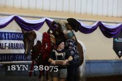 18YN_28075 thumbnail