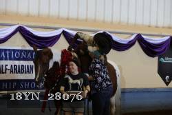 18YN_28076 thumbnail