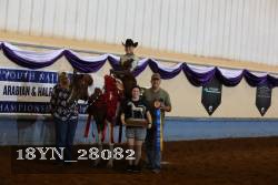 18YN_28082 thumbnail