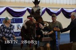 18YN_28083 thumbnail