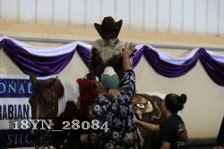 18YN_28084 thumbnail