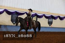 18YN_28088 thumbnail