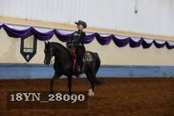 18YN_28090 thumbnail