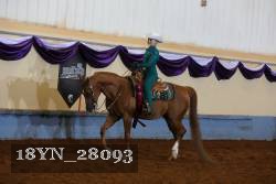 18YN_28093 thumbnail