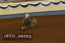 18YN_06203 thumbnail