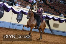 18YN_21188 thumbnail