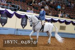 18YN_04874 thumbnail