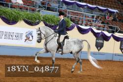 18YN_04877 thumbnail